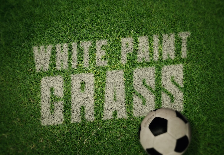 PSD logo ou modèle de maquette de texte - peinture blanche sur l'herbe