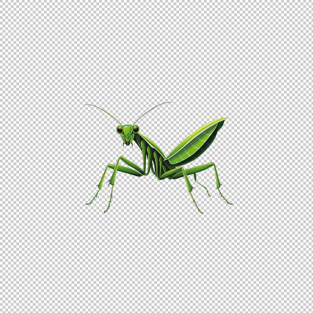 PSD logo plat mantis à fond isolé