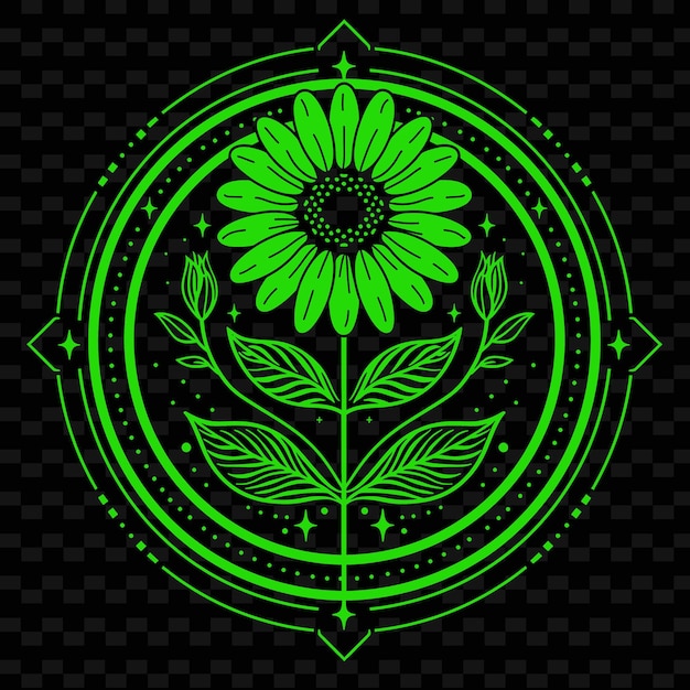 PSD logotipo circular de flor de camomila com borda decorativa e coleções de design vetorial de ervas da ge nature
