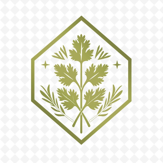 PSD logotipo de la insignia de la ramita de cilantro con cinta decorativa y colecciones de diseño vectorial de hierbas geométricas