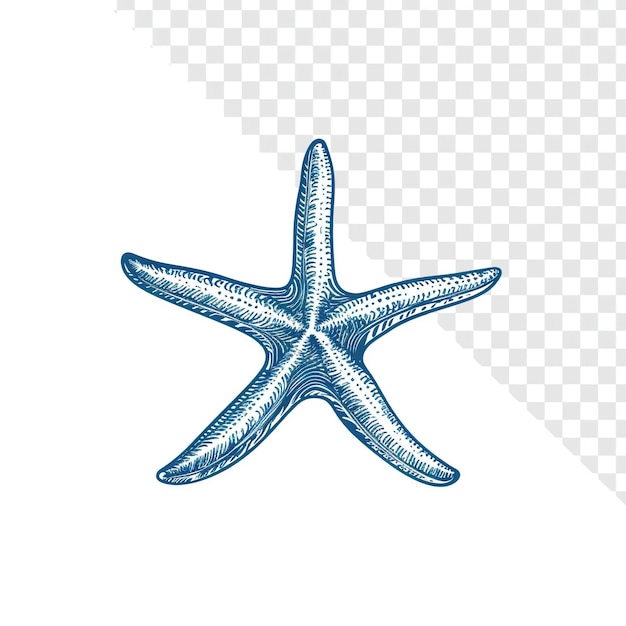 Logotipo minimalista de estrela-marinha náutica azul e branco