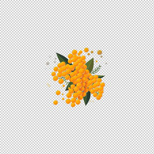 PSD logotipo plano mimosa de fondo aislado