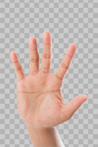 PSD lokalisierte hand, die fünf finger zeigt