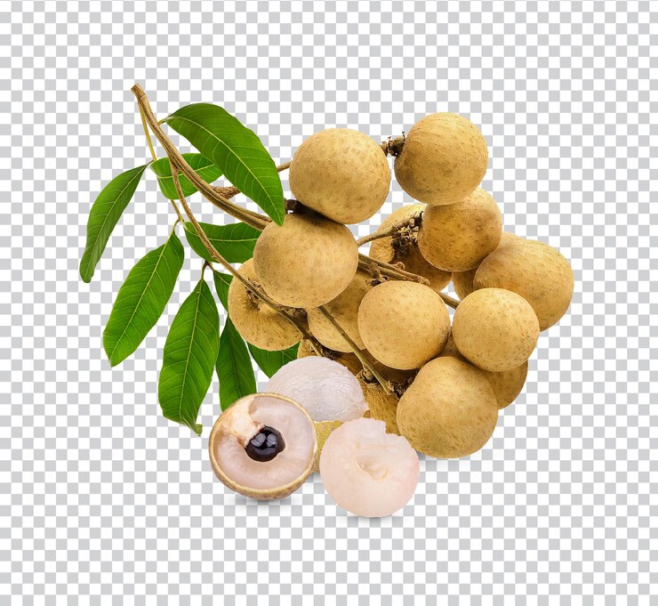 PSD longan fresco con foglie isolate psd premium