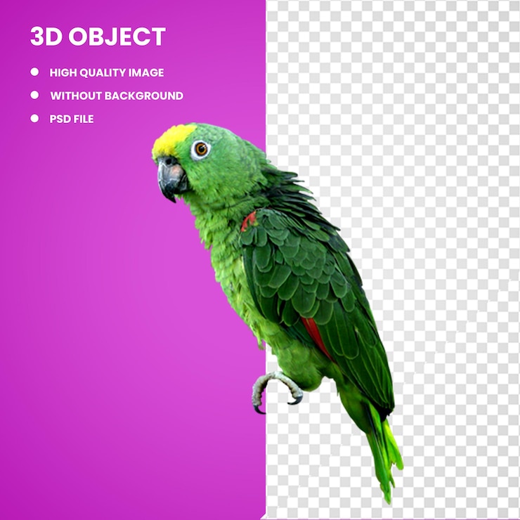 PSD el loro budgerigar 3d