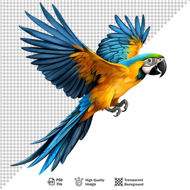 PSD loro guacamayo realista aislado en un fondo transparente