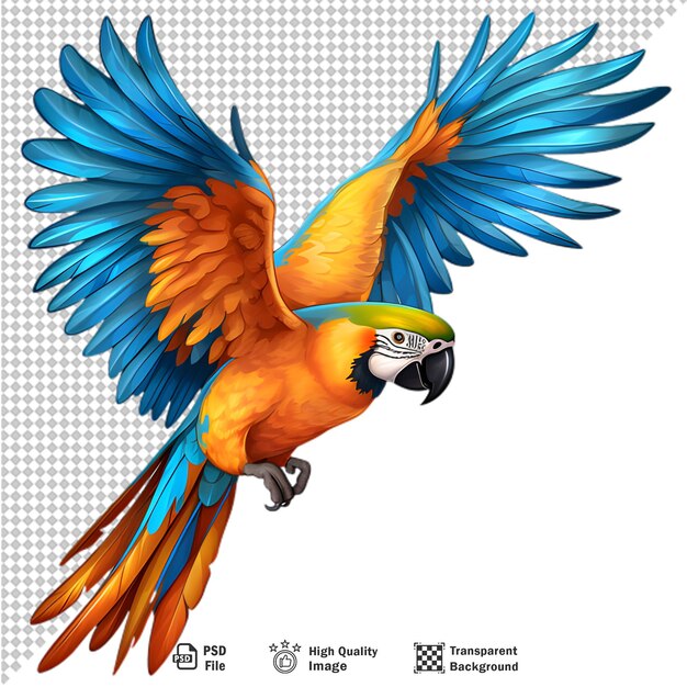 PSD loro guacamayo realista aislado en un fondo transparente