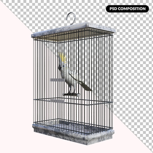 PSD loro pájaro aislado 3d