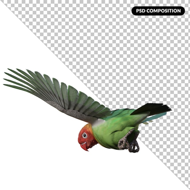 PSD loro, pájaro, animal, aislado, 3d, interpretación