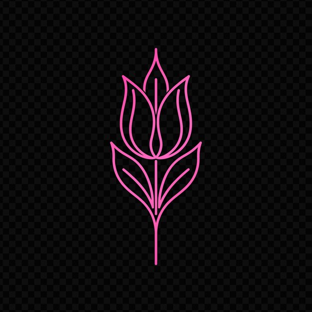 PSD un lotus rose sur un fond noir