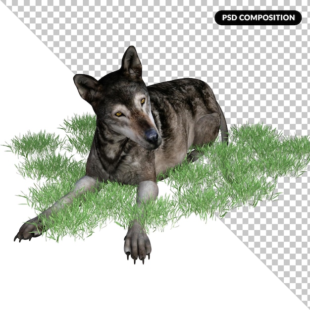 Loup Animal Isolé 3d