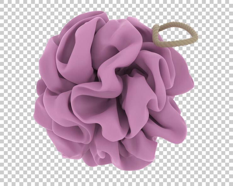 PSD luffa su sfondo trasparente 3d rendering illustrazione