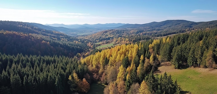PSD luftansicht auf eine gebirgslandschaft mit herbstblättern