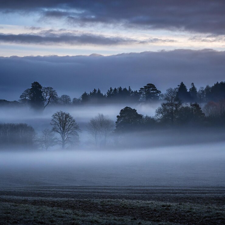 PSD luftaufnahme einer straße in einem wald mit nebel, die von oben nach unten von einer drohnenfoto aufgenommen wurde.
