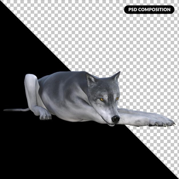 Lupo isolato rendering 3d
