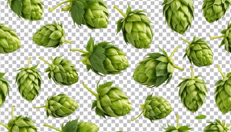PSD el lúpulo verde añade frescura a las cervezas