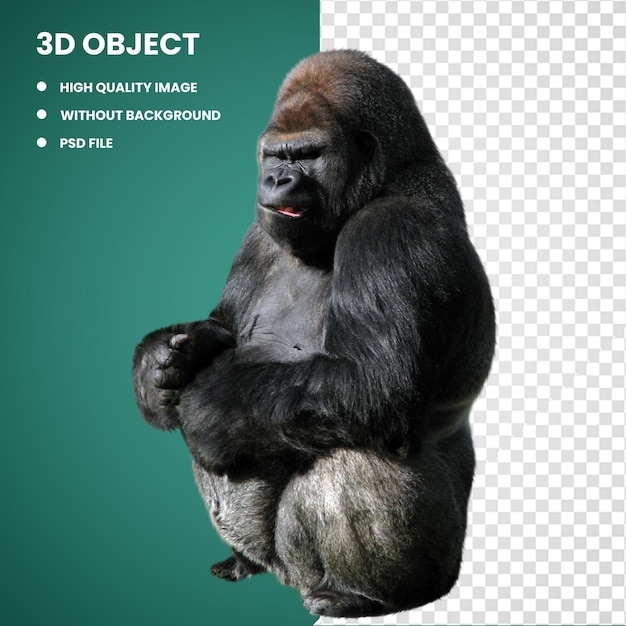 PSD macaco gorila 3d