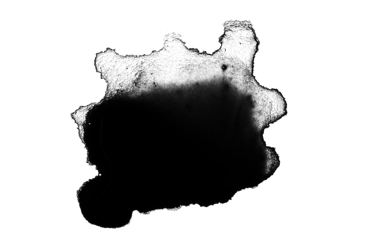 PSD macchia di vernice o inchiostro nera versata sotto forma di macchia o spruzzo su uno sfondo bianco