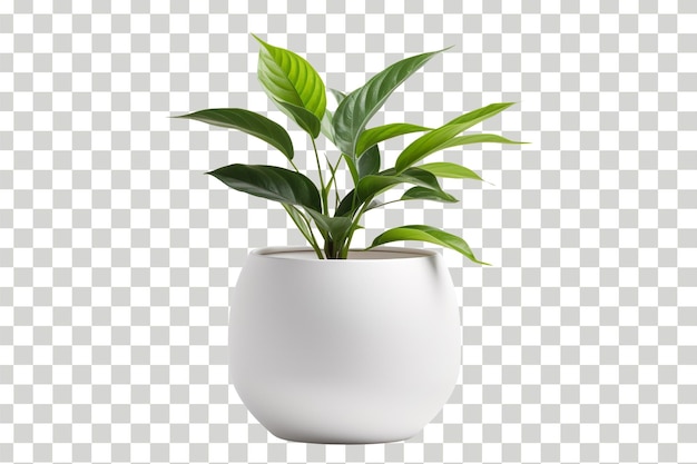 PSD una maceta de plantas 3d realista