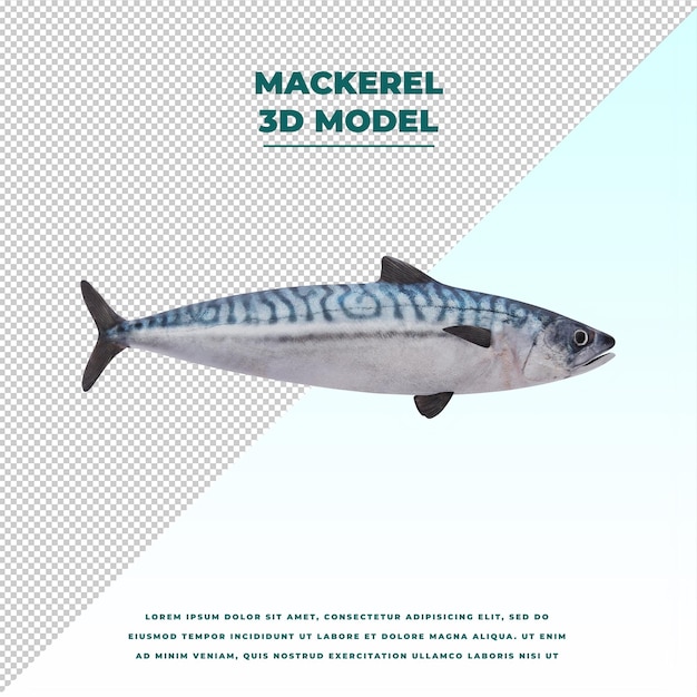 El mackerel está aislado