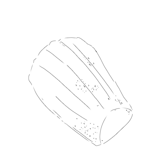 Madeleine galletas de comida horneado ilustración de línea gráfica en blanco y negro