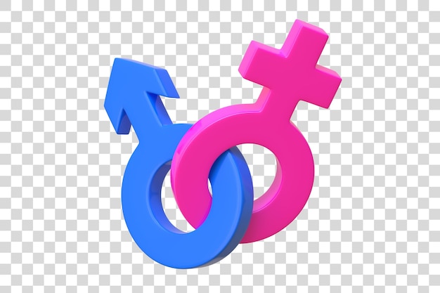 PSD männliche und weibliche symbole auf weißem hintergrund miteinander verbunden sexuelle symbole 3d-darstellung