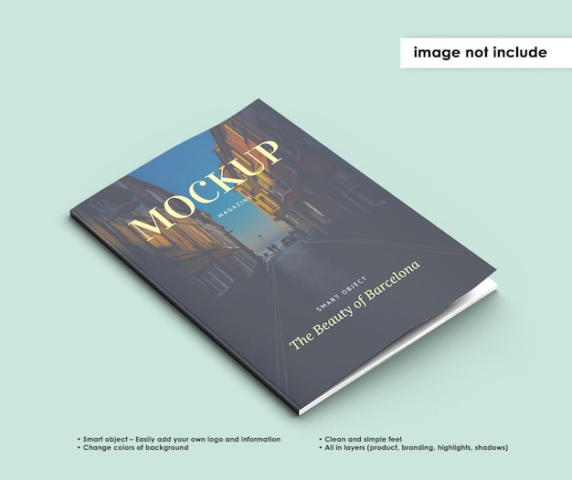 Magazine Mockup Design isolato