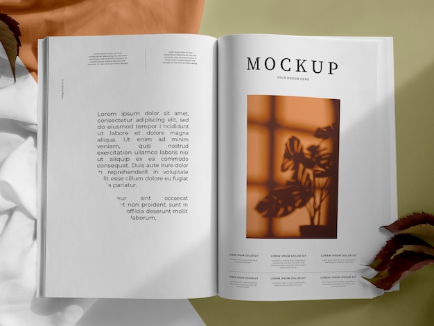Magazine et vue de dessus de l'assortiment de feuilles