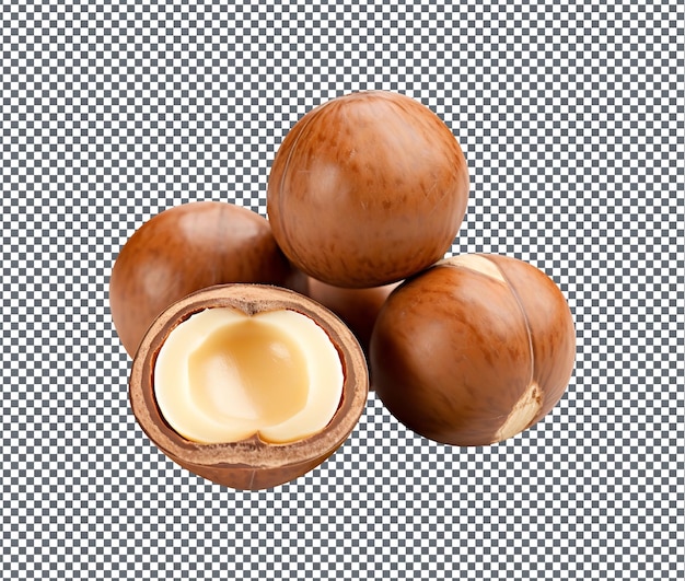 PSD magnífico macadamia integrifolia aislado suavemente sobre un fondo transparente