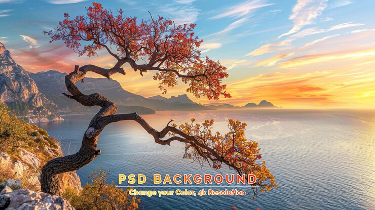 PSD un magnifique coucher de soleil sur un arbre solitaire au bord d'un lac