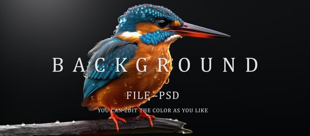 PSD le magnifique kingfisher alcedo se repose sur un tronc d'arbre sur un fond noir.