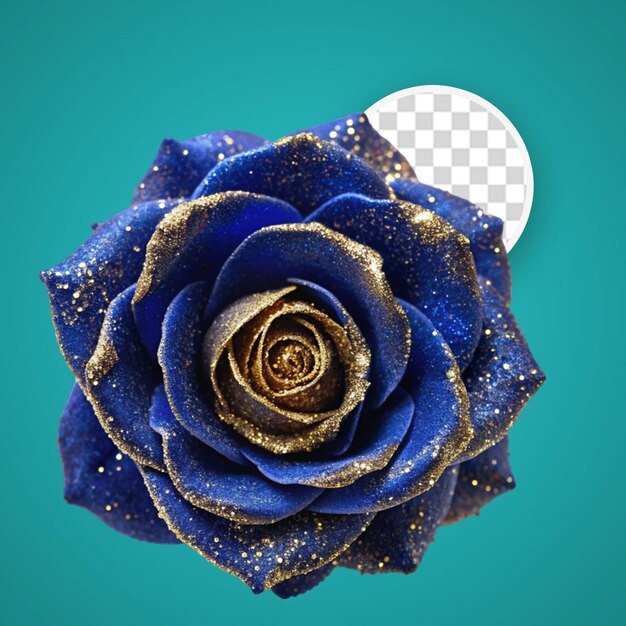 PSD une magnifique rose bleue isolée