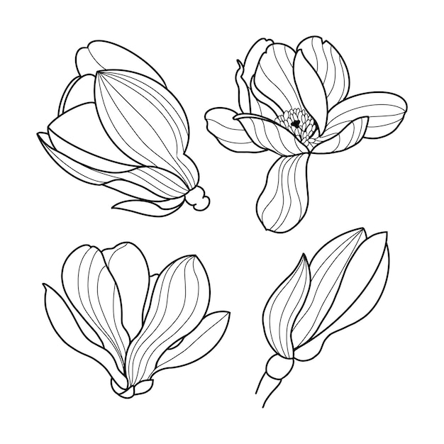 Magnolia Blumenlinie Kunst Set