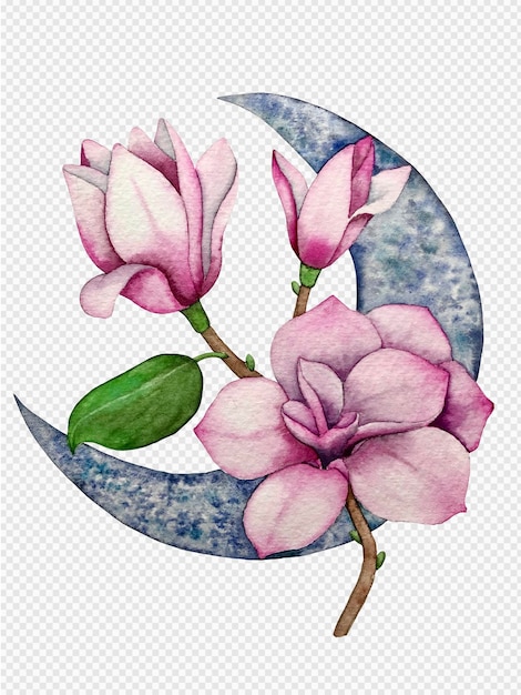 Magnolia Et L'illustration Aquarelle De La Lune