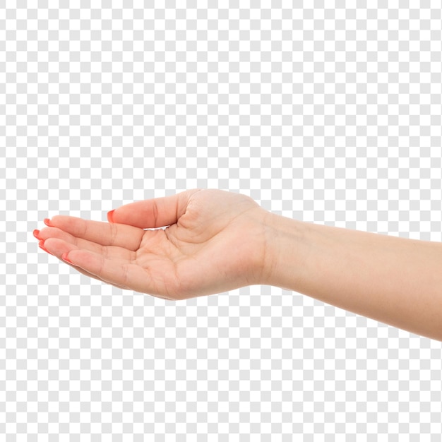 Une main féminine à vue frontale avec des ongles colorés soulevée isolée sur un fond transparent
