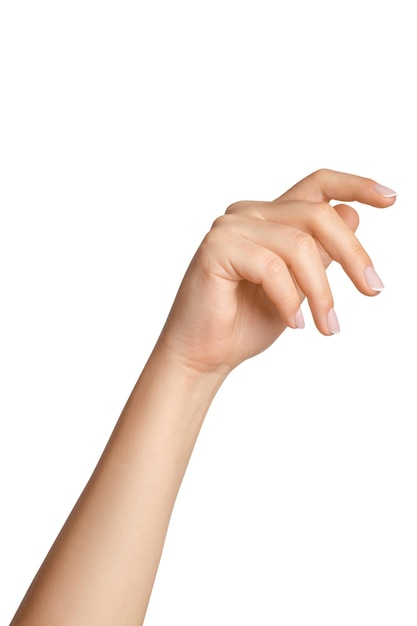 La main de la femme sur un fond vide.