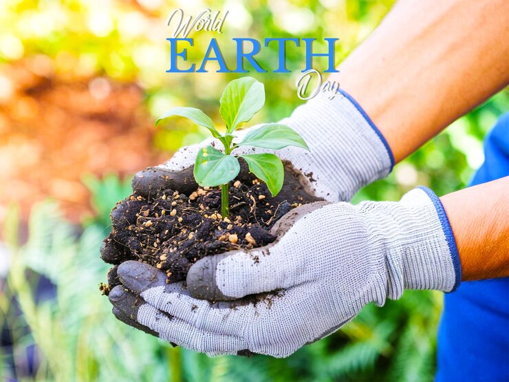 une main tenant une plante avec les mots monde de la terre en bleu