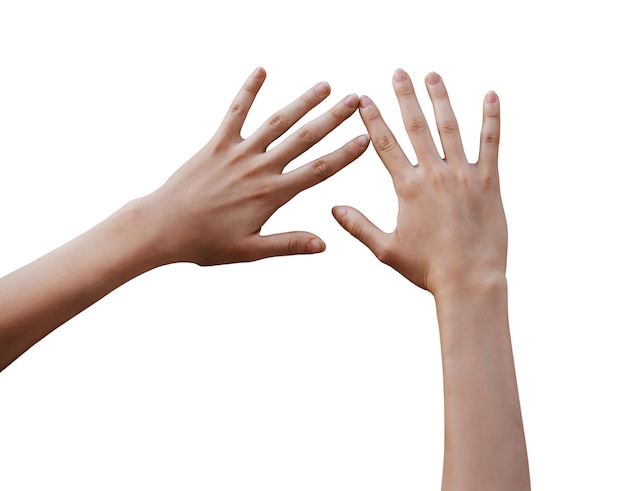Les mains sensibles sont isolées.