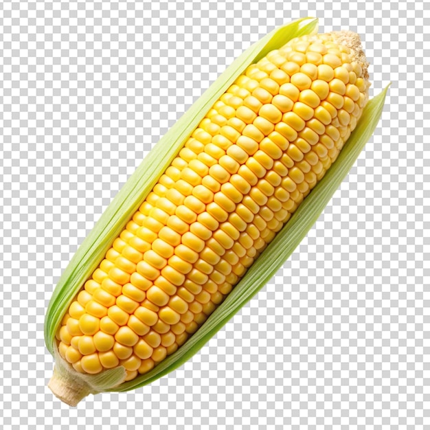 Mais isoliert auf durchsichtigem Hintergrund