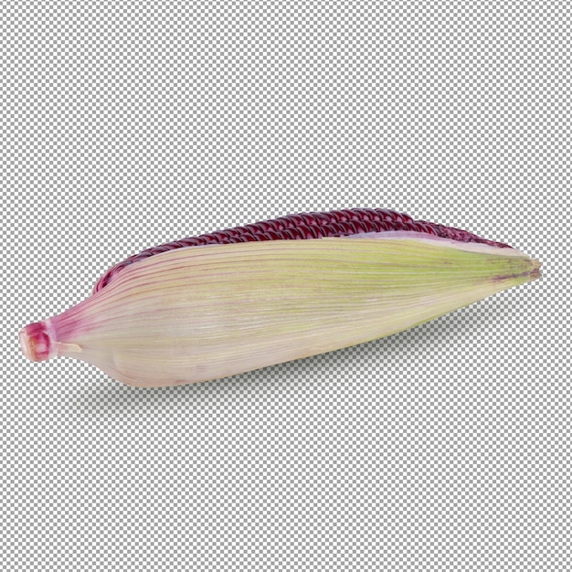 Maïs violet frais isolé sur fond alpha