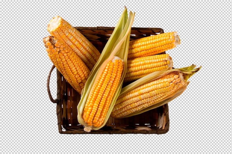 PSD maíz amarillo fresco en canasta sobre madera rústica y fondo transparente, png