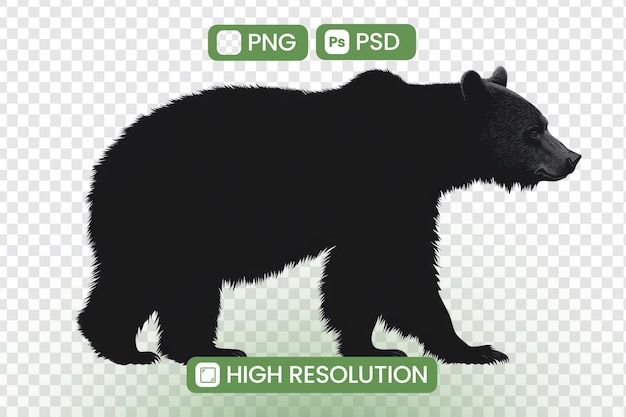 Majestic Black Bear Silhouette A HighResolution PNG e PSD Download Perfetto per progetti di progettazione grafica e appassionati di fauna selvatica Esplora il potere e la bellezza della natura con questa immagine sorprendente