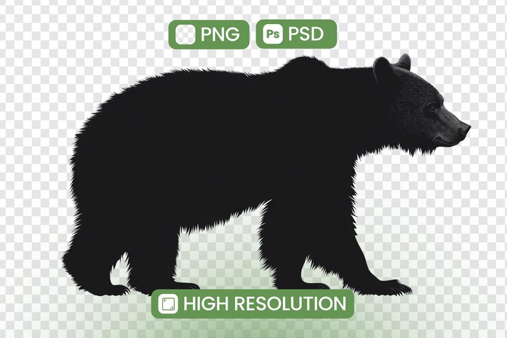 PSD majestic black bear silhouette a highresolution png e psd download perfetto per progetti di progettazione grafica e appassionati di fauna selvatica esplora il potere e la bellezza della natura con questa immagine sorprendente