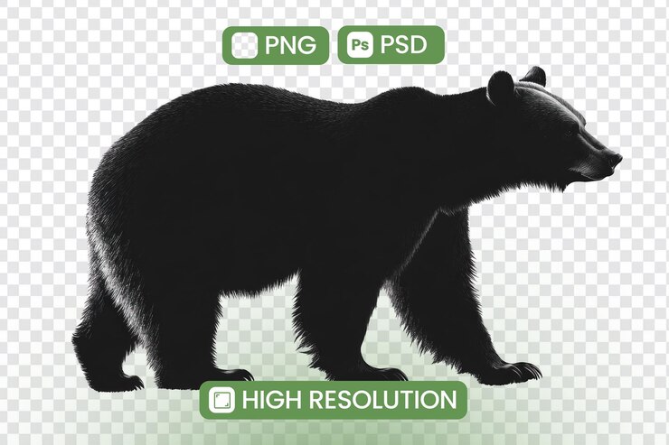 PSD majestic black bear silhouette png psd descarga imagen de vida silvestre de alta resolución perfecta para proyectos de diseño arte digital fotografía de naturaleza y aplicaciones creativas explore el tema de la naturaleza silvestre