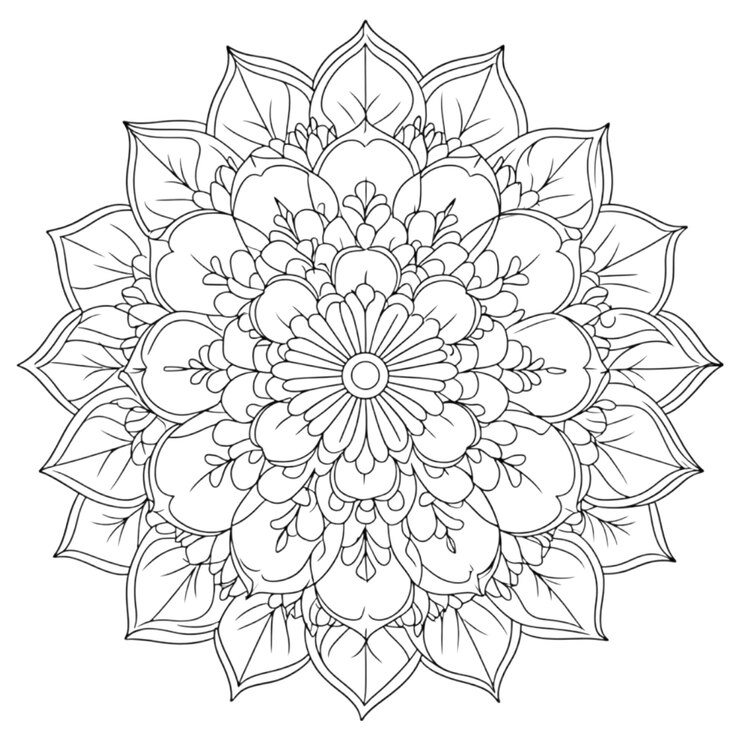 PSD mandala design images for coloring without background hd quality