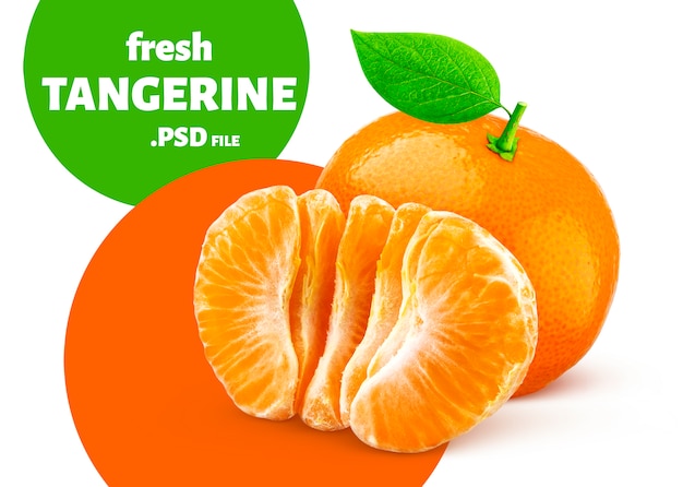 Mandarino isolato, banner di frutta
