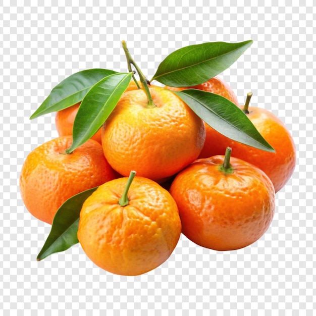 Mandarins em fundo branco