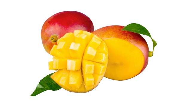 mango en un fondo blanco aislado