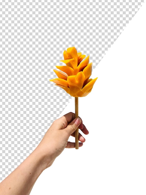 Mango de mano con fondo transparente