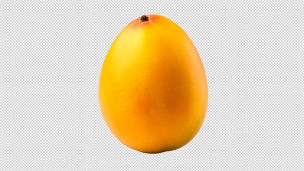 Un mango sobre un fondo blanco con una sombra